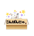 心霊配信者えだまめさん  4（個別スタンプ：32）