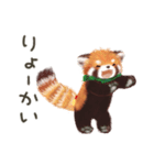 レッサーパンダのポへ！仲間！ 日常！ スイカ（個別スタンプ：5）