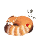 レッサーパンダのポへ！仲間！ 日常！ スイカ（個別スタンプ：7）