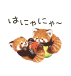 レッサーパンダのポへ！仲間！ 日常！ スイカ（個別スタンプ：8）
