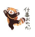 レッサーパンダのポへ！仲間！ 日常！ スイカ（個別スタンプ：13）