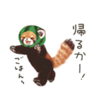 レッサーパンダのポへ！仲間！ 日常！ スイカ（個別スタンプ：16）