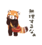 レッサーパンダのポへ！仲間！ 日常！ スイカ（個別スタンプ：23）