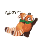 レッサーパンダのポへ！仲間！ 日常！ スイカ（個別スタンプ：26）