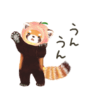 レッサーパンダのポへ！仲間！ 日常！ スイカ（個別スタンプ：28）