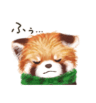 レッサーパンダのポへ！仲間！ 日常！ スイカ（個別スタンプ：30）