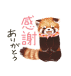 レッサーパンダのポへ！仲間！ 日常！ スイカ（個別スタンプ：33）