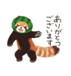 レッサーパンダのポへ！仲間！ 日常！ スイカ（個別スタンプ：36）
