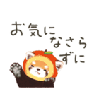 レッサーパンダのポへ！仲間！ 日常！ スイカ（個別スタンプ：39）