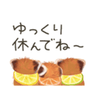 レッサーパンダのポへ！仲間！ 日常！ スイカ（個別スタンプ：40）