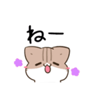 動く！毎日五月病なねこたち でか文字2（個別スタンプ：5）