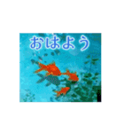 動く！夏の涼しい挨拶（個別スタンプ：1）