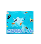動く！夏の涼しい挨拶（個別スタンプ：10）