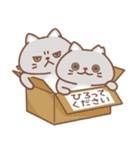 地域ねこ兄弟 usamusiのスタンプ22（個別スタンプ：9）