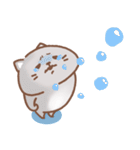 地域ねこ兄弟 usamusiのスタンプ22（個別スタンプ：17）