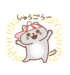 地域ねこ兄弟 usamusiのスタンプ22（個別スタンプ：19）