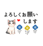 猫がいっぱい♡オトナ女子♡省スペース（個別スタンプ：1）