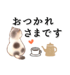 猫がいっぱい♡オトナ女子♡省スペース（個別スタンプ：5）