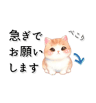 猫がいっぱい♡オトナ女子♡省スペース（個別スタンプ：25）