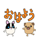 パグのパック (with テリーVer.)（個別スタンプ：1）