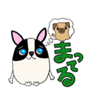 パグのパック (with テリーVer.)（個別スタンプ：12）