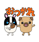 パグのパック (with テリーVer.)（個別スタンプ：13）