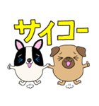 パグのパック (with テリーVer.)（個別スタンプ：16）