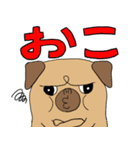 パグのパック (with テリーVer.)（個別スタンプ：18）