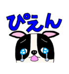 パグのパック (with テリーVer.)（個別スタンプ：19）