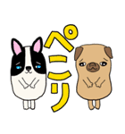 パグのパック (with テリーVer.)（個別スタンプ：22）