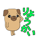パグのパック (with テリーVer.)（個別スタンプ：24）