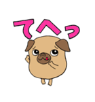 パグのパック (with テリーVer.)（個別スタンプ：33）