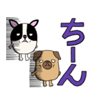 パグのパック (with テリーVer.)（個別スタンプ：35）