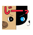 パグのパック (with テリーVer.)（個別スタンプ：36）