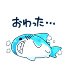ホシクイとホシイロザメ（個別スタンプ：37）