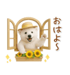 癒し白くまの「夏」の毎日（個別スタンプ：1）