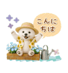 癒し白くまの「夏」の毎日（個別スタンプ：3）
