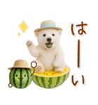 癒し白くまの「夏」の毎日（個別スタンプ：6）