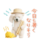 癒し白くまの「夏」の毎日（個別スタンプ：9）