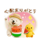 癒し白くまの「夏」の毎日（個別スタンプ：20）