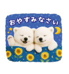癒し白くまの「夏」の毎日（個別スタンプ：24）