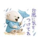 癒し白くまの「夏」の毎日（個別スタンプ：27）