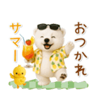 癒し白くまの「夏」の毎日（個別スタンプ：30）