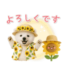癒し白くまの「夏」の毎日（個別スタンプ：35）