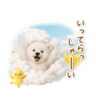 癒し白くまの「夏」の毎日（個別スタンプ：38）