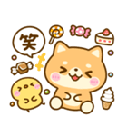 暑い夏に甘ーいスイーツ♡豆柴日和（個別スタンプ：8）