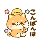 暑い夏に甘ーいスイーツ♡豆柴日和（個別スタンプ：10）