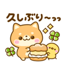 暑い夏に甘ーいスイーツ♡豆柴日和（個別スタンプ：15）