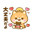 暑い夏に甘ーいスイーツ♡豆柴日和（個別スタンプ：17）