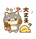 暑い夏に甘ーいスイーツ♡豆柴日和（個別スタンプ：23）